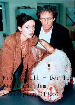 天涯追踪 (原声版)免费观看