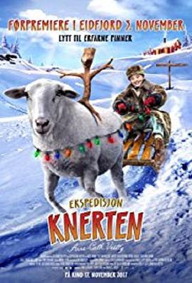 极光大冒险免费观看