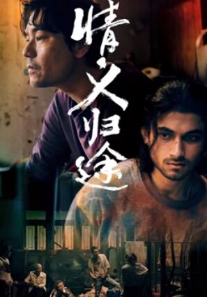 情义归途免费观看