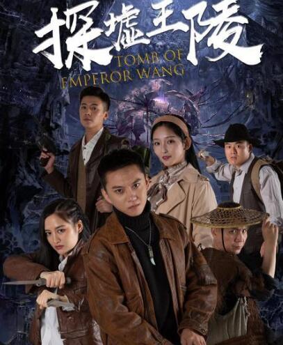 探墟王陵免费观看