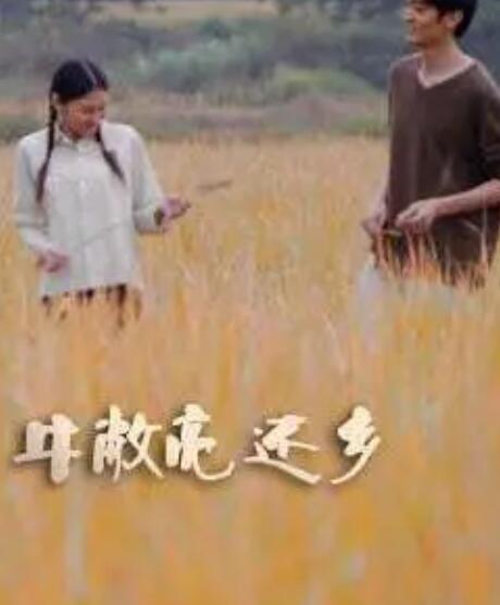 牛敞亮还乡免费观看