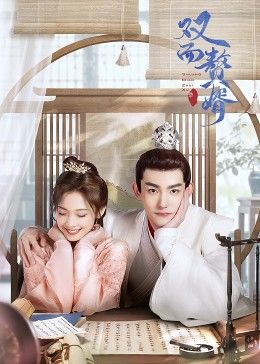 双面赘婿第2季免费观看