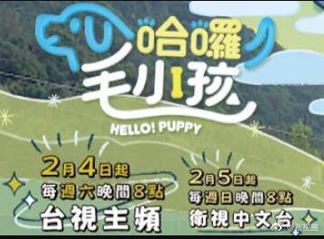 哈啰！毛小孩免费观看