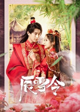 辰雪令免费观看