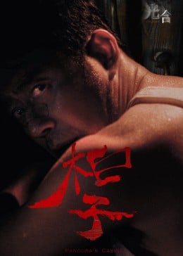 光合计划免费观看