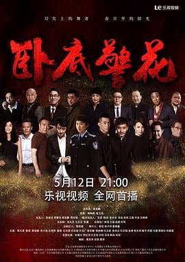 卧底警花免费观看