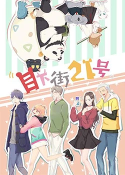 目下街21号免费观看