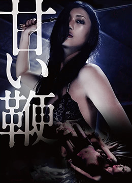 甜蜜皮鞭免费观看