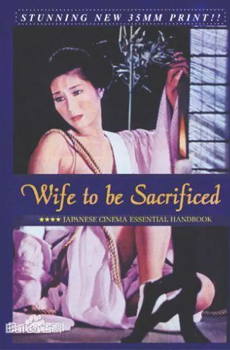 供品夫人免费观看