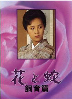 花与蛇 飼育篇免费观看