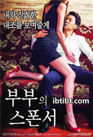 夫妻搭档免费观看