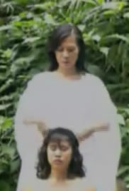 化骨棉掌免费观看