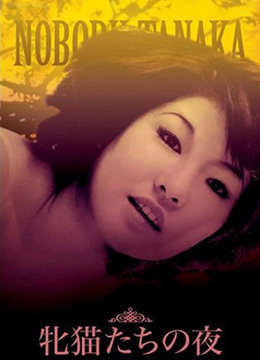 性感野猫之夜免费观看