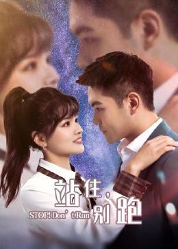 站住，别跑免费观看