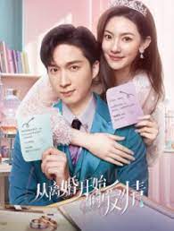 从离婚开始的爱情免费观看