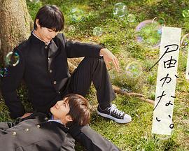 无法传达给你免费观看