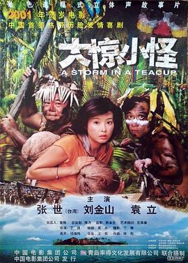 大惊小怪 2000免费观看