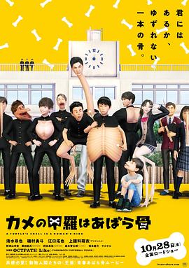 乌龟的壳其实是肋骨免费观看