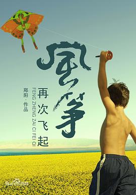 风筝再次飞起免费观看