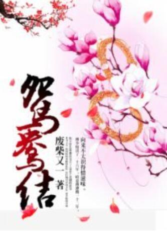 鸳鸯结免费观看