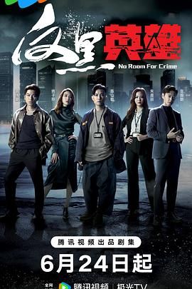 反黑英雄 普通话版免费观看