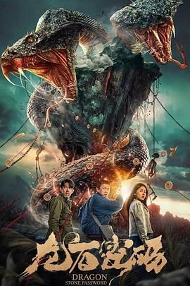 龙石密码免费观看