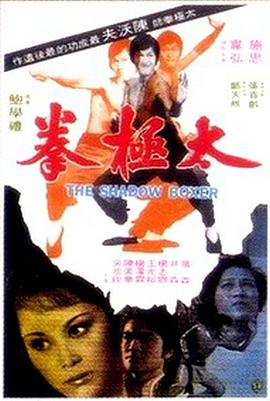 太极拳1974免费观看