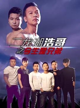 二龙湖浩哥之今生是兄弟免费观看