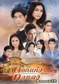 迷失的七里香免费观看