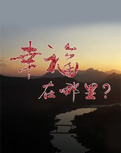 幸福在哪里：推动生活的引擎免费观看