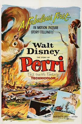 小松鼠免费观看