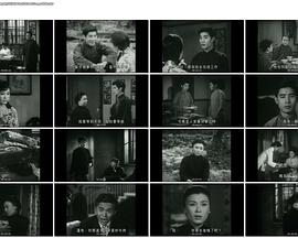 白头情侣粤语免费观看