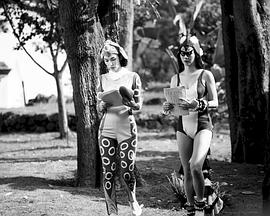 随片登台免费观看