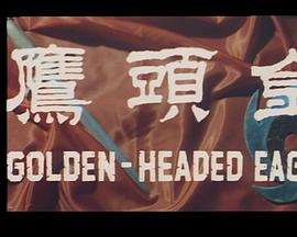 金头鹰粤语免费观看