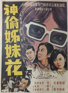 神偷姊妹花粤语免费观看