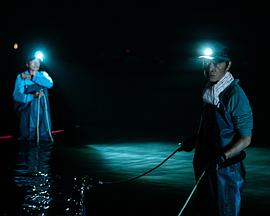 降河洄游免费观看