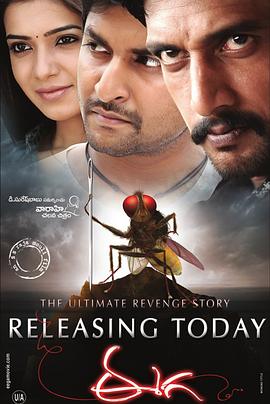 功夫小蝇国语免费观看