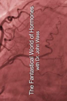 荷尔蒙的神奇世界免费观看