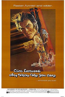 金拳大对决免费观看