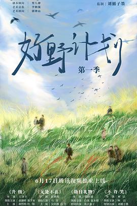 好野计划第一季免费观看