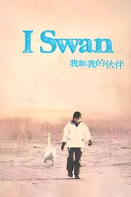 我和我的伙伴免费观看