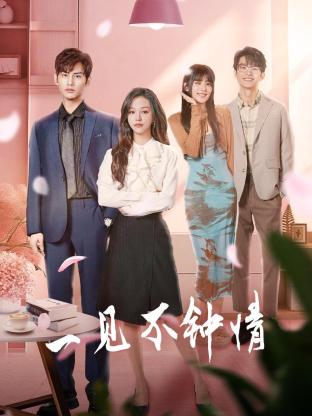 一见不钟情2024免费观看
