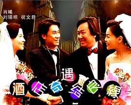 酒店奇遇结良缘免费观看