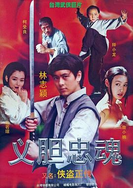 侠盗正传免费观看