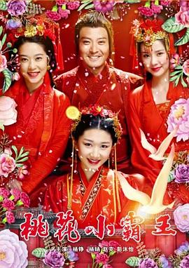 桃花小霸王免费观看