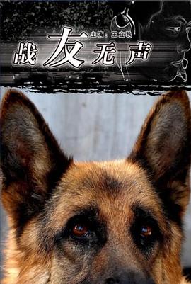 战友无声免费观看