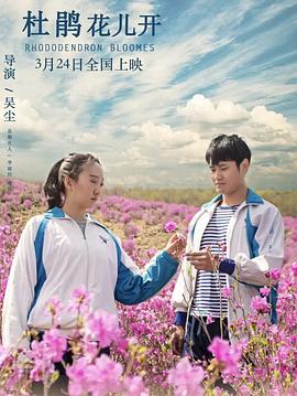 杜鹃花儿开免费观看