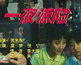 一夜惊险免费观看