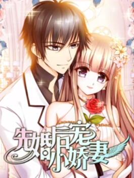 先婚后宠小娇妻第一季免费观看