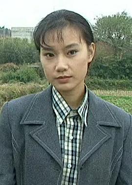 金海情免费观看